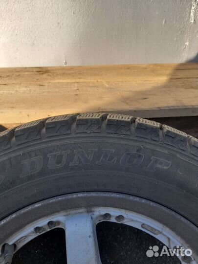 Dunlop Winter Maxx 175/65 R14