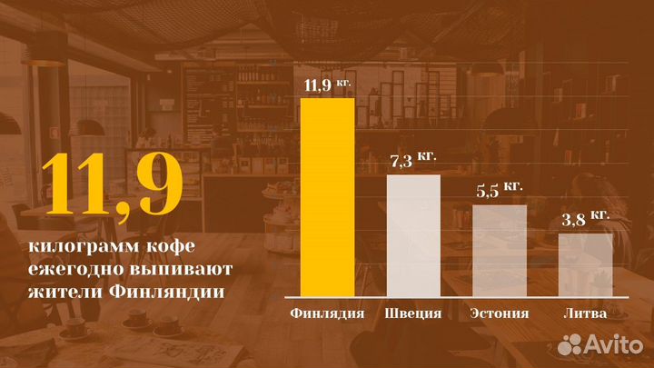 Презентации в Power Point