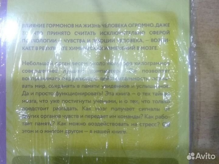 Гормоны и химия мозга