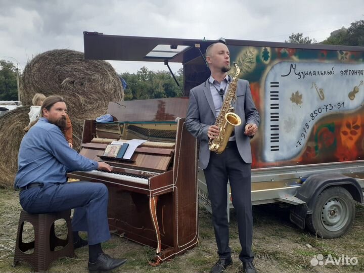 Пианист музыкант Гармонист