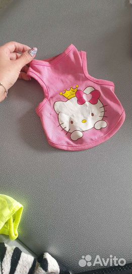 Одежда для собак и кошек