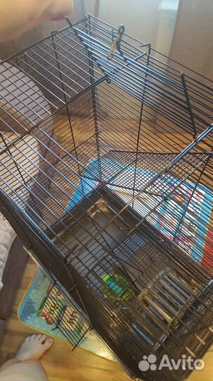 Клетка для сирийского хомяка