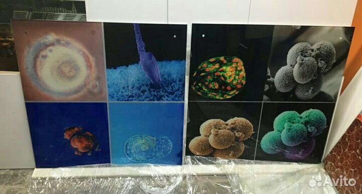 Стеновые стеклянные панели. Психоделика