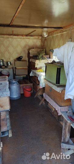 Пчелы и улья