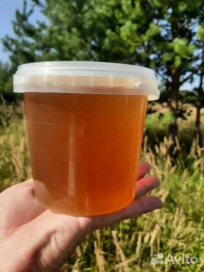 Свежий натуральный мёд с собственной пасеки