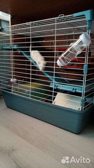 Продам клетку для кроликов, шиншил, морских свинок