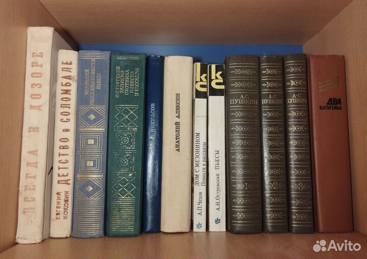 Школьная литература, русская классика, поэзия