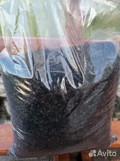 Уголь из скорлупы кедрового ореха