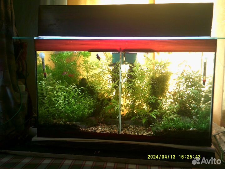 Готовый аквариум с рыбками