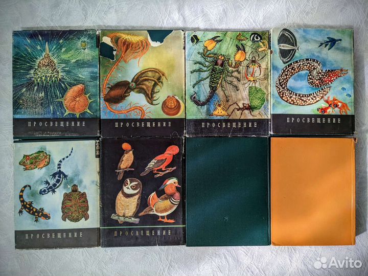 Энциклопедия Жизнь животных Зарубежные страны СССР