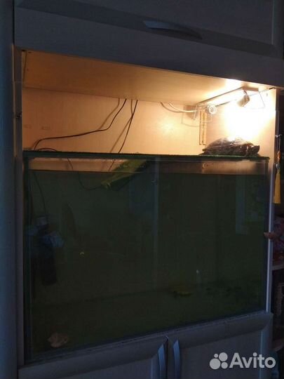 Аквариум акватеррариум для черепахи