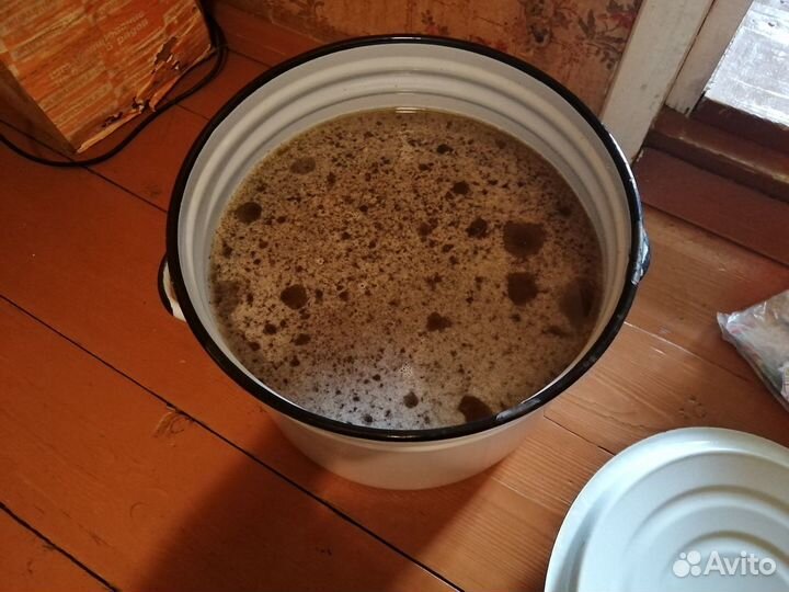 Мед в сотах