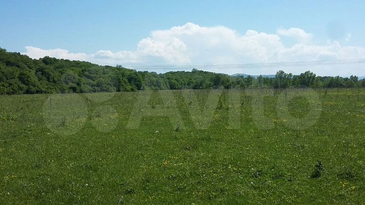 Участок 20 га (СНТ, ДНП)