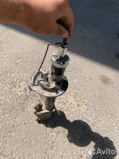 Амантизатор на жентра