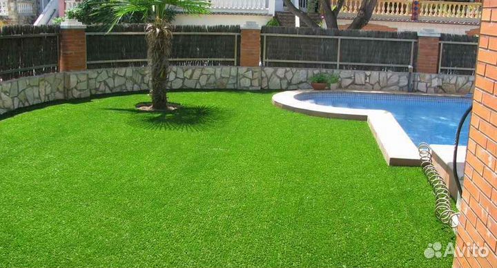 Рулонный газон мятлик
