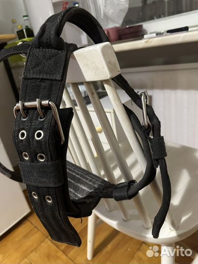 Шлейка для большой собаки