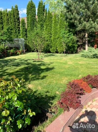 Укладка рулонного газона+Ландшафт участка под ключ