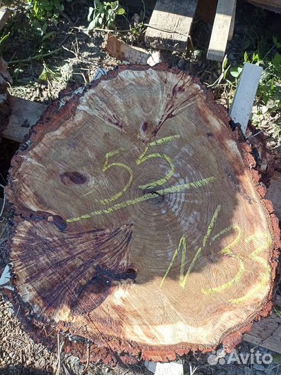 Слебы спилы