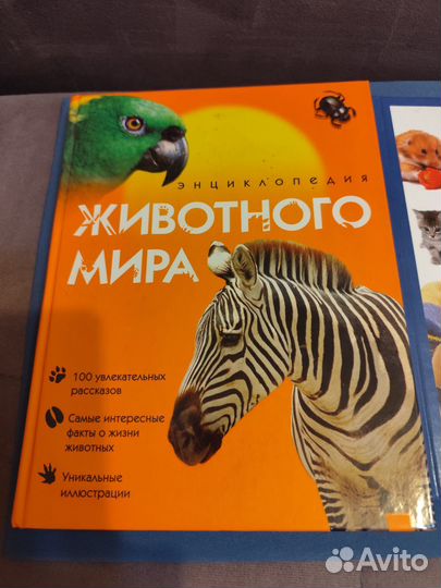 Энциклопедия животного мира,домашних животных