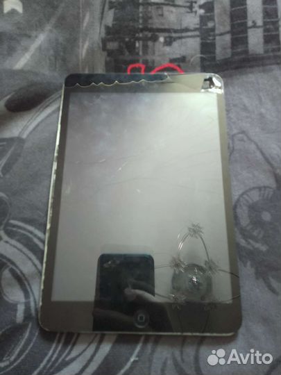 iPad