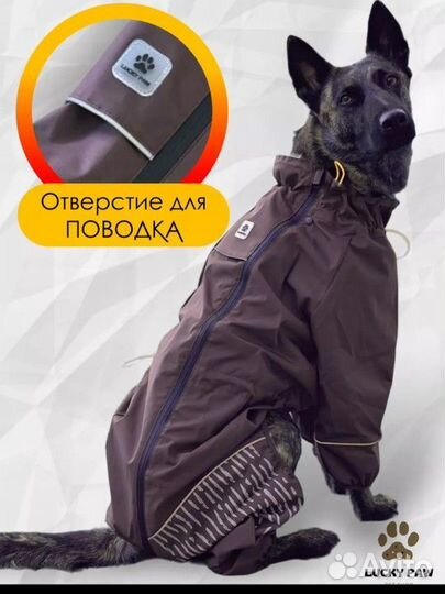 Дождевик для собак