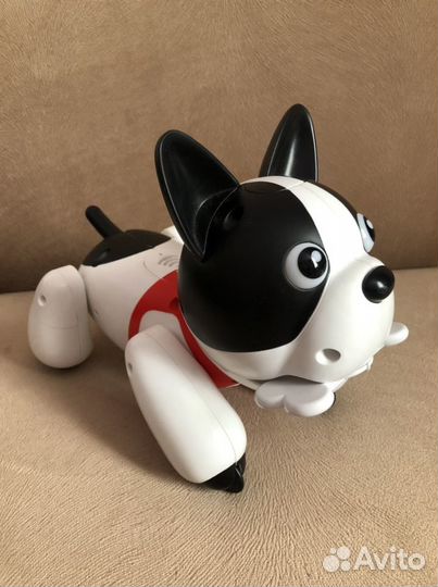 Собака-робот Duke (робопёс)