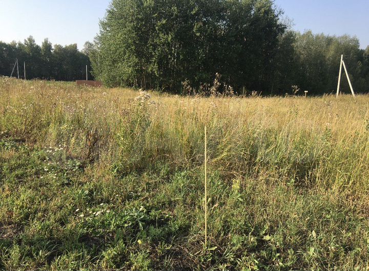 Участок 6,1 сот. (ИЖС)