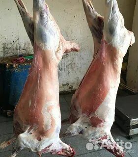 Мясо козлятина и баранина