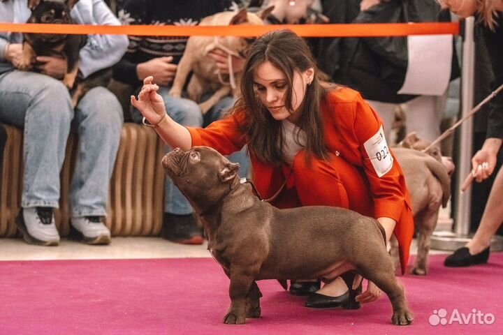 Инструктор-кинолог, зоопсихолог