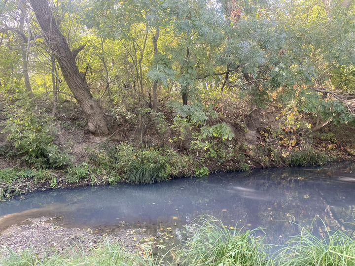 Участок 8 сот. (ИЖС)