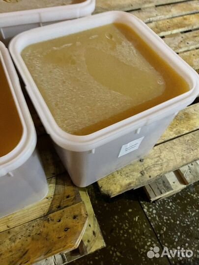 Эспарцетовый свежий мед оптом