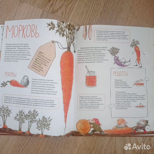 Книга Овощные истории