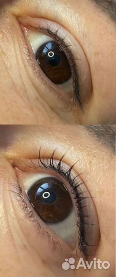 Ламинирование ресниц ботокс в подарок