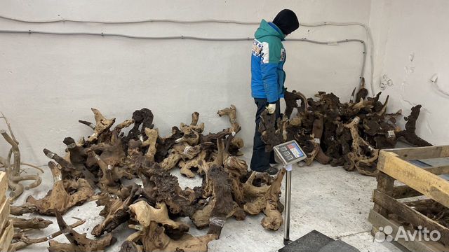 Коряги для аквариума мопани купить в Москве | Животные и зоотовары | Авито