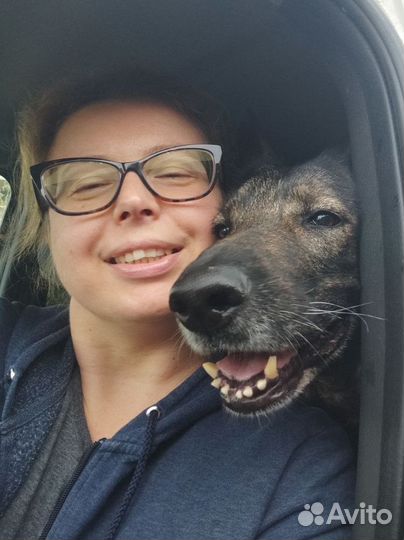 Кинолог зоопсихолог