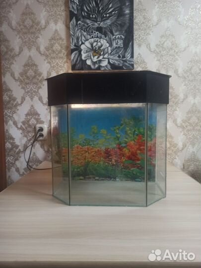 Аквариум на 30 литров