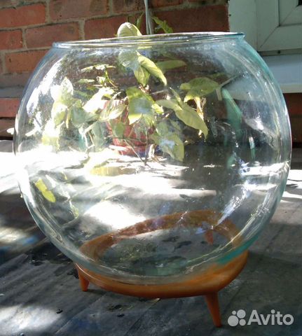 Аквариум 20 л круглый СССР