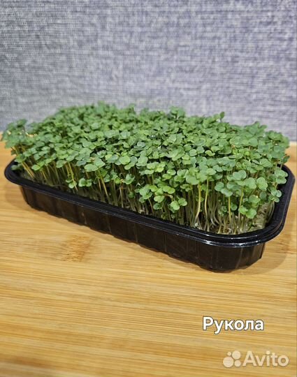 Микрозелень