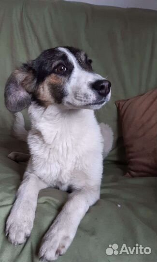 Маленькое чудо