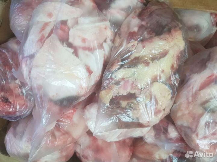 Корм для собак