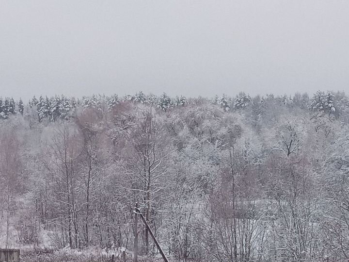 2-к. квартира, 49,5 м², 4/5 эт.