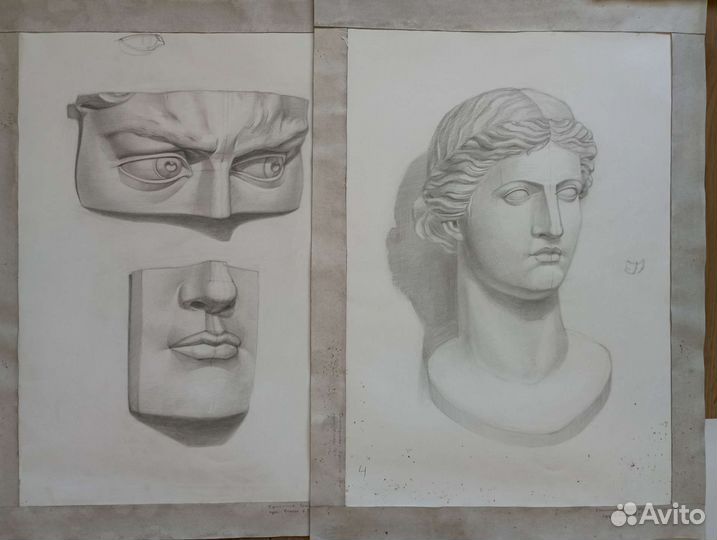 Репетитор по живописи и рисунку