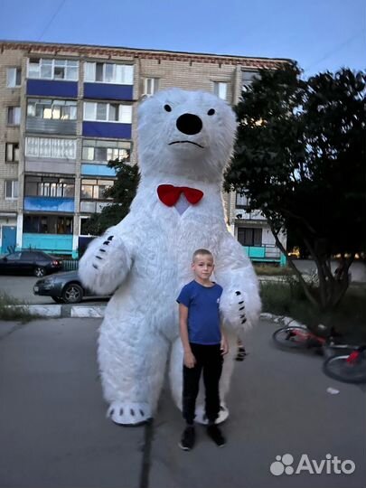 Белый Мишка Поздравление