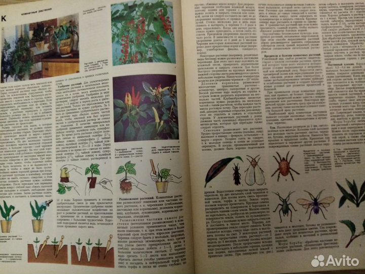 Ретро энциклопедия домашнего хозяйства