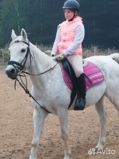 Жилетка для верховой езды 152-156