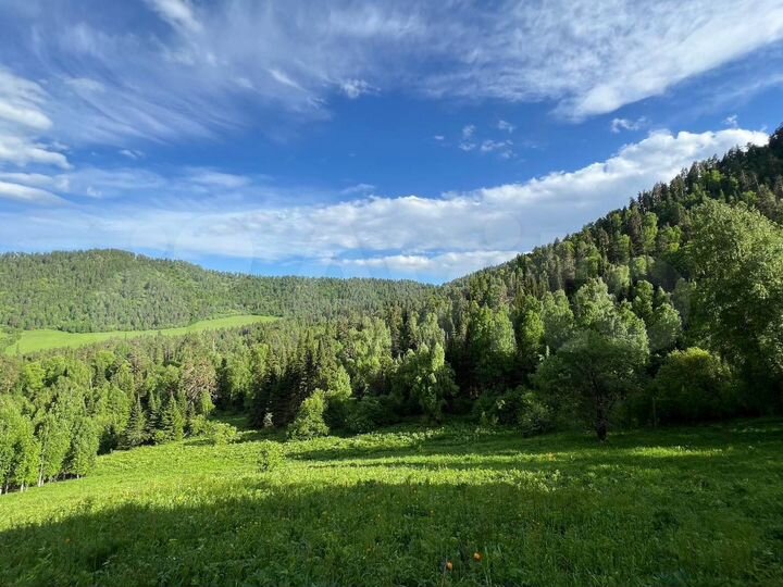 Участок 10 сот. (СНТ, ДНП)