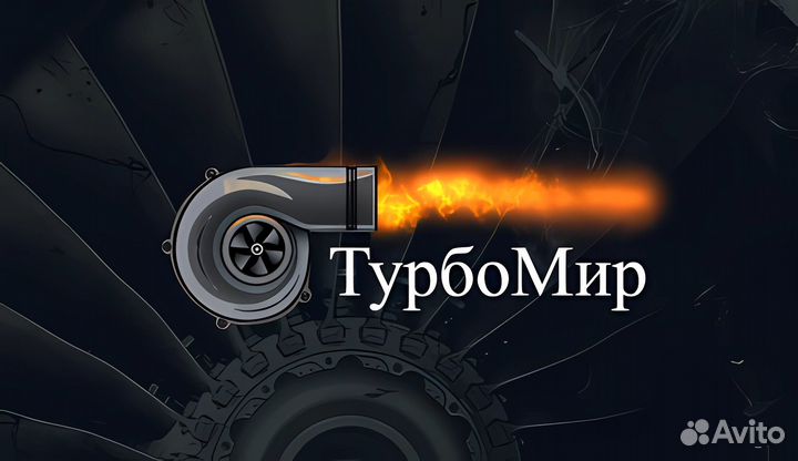 Турбокомпрессор TurboMir 318295