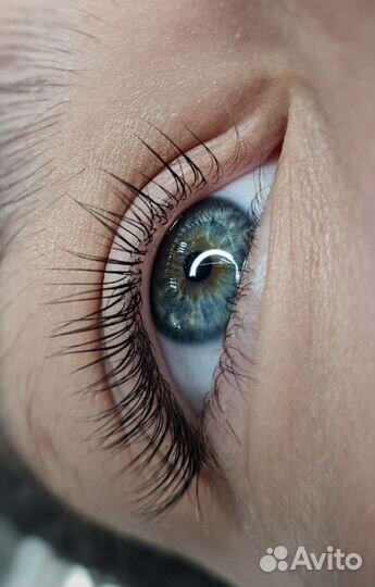 Итальянское ламинирование ресниц Восстания