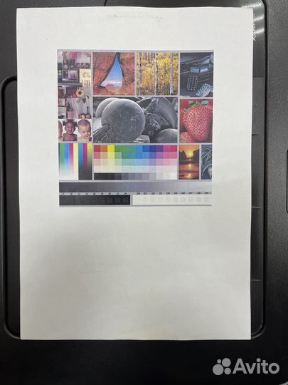 Принтер цветной Samsung C430