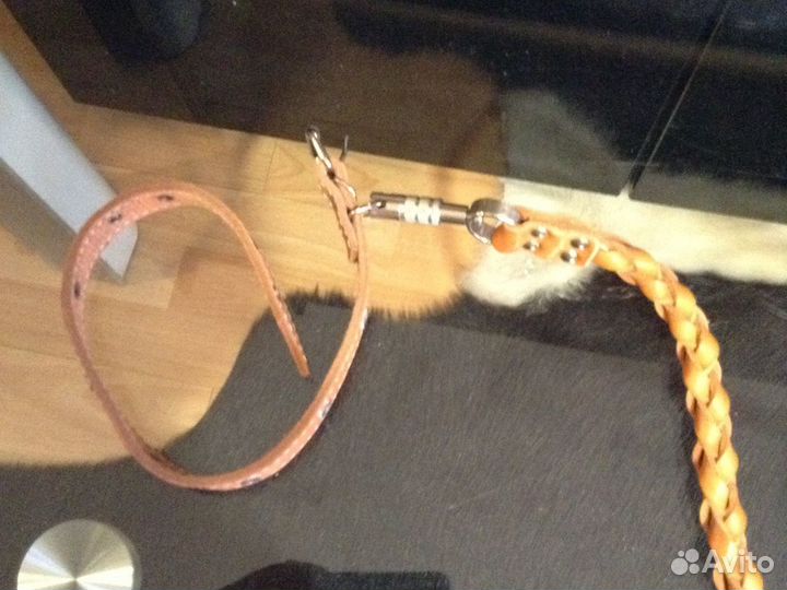 Ошейник,поводок (кожа) 110см